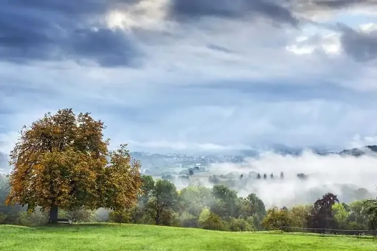 Remseck